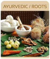 Application in ayurvedic_roots